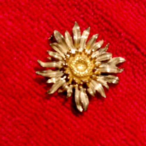 Edelweiß brosche silber 835 - edelweiß,