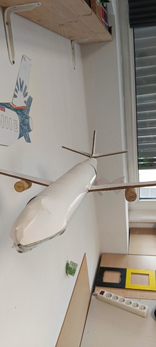 Selbst gebautes flugzeug - gebautes, –