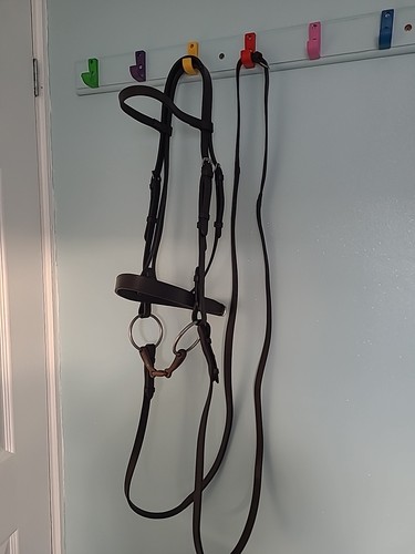 Englische leder trense - leder,