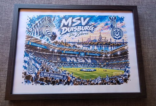 Bild msv duisburg - msv,