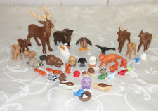 WALDTIERE - Rehe, Füchse