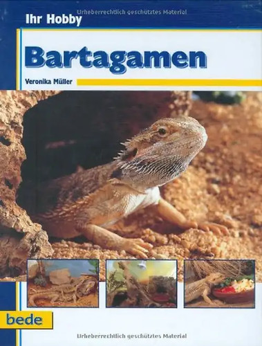 Ihr hobby bartagamen - hobby,