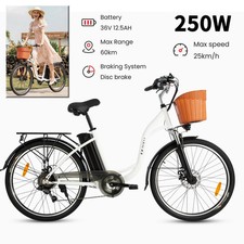 DYU C6 Elektrofahrrad 350VV