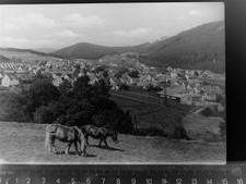 30073072 - 5790 Hoppecke