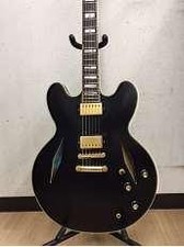 Epiphone Emily Wolfe Sheraton