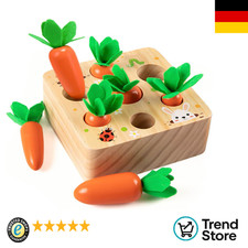 Holzspielzeug ab 1 Jahr | Baby Motorik Spielzeug für 12 Monate Jungen und