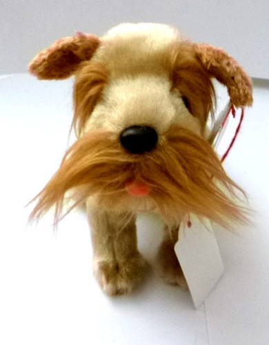 Schnitzel hund stehend - schnitzel,, hund,
