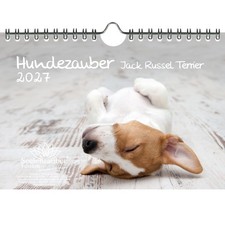 Hundezauber Jack Russel
