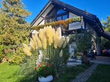 Ferienhaus vermietung ostsee - ferienhaus,