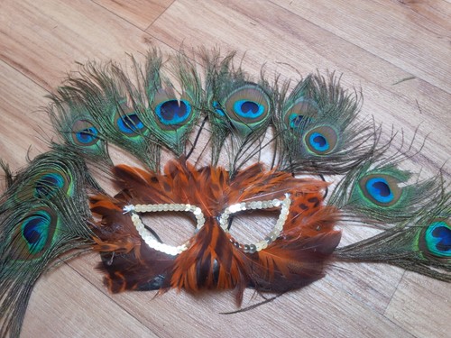 Orange pfau gefiedert - orange,
