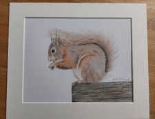 Rotes Eichhörnchen Original