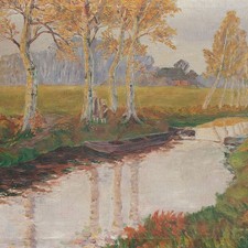 Moorlandschaft Birkenwald