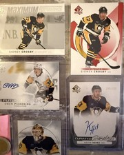 Pittsburgh penguins - penguins, sp