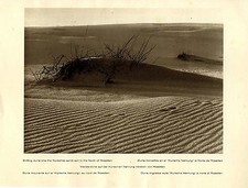 Wanderdüne auf der kurischen - wanderdüne,