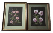 Stilleben Blumen 2 Bilder vermutlich Aqurell gerahmt