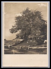 Ansichtskarte / Kunst Paul M