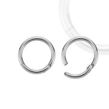 Silver Segment Clicker