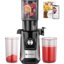 Entsafter Slow Juicer –