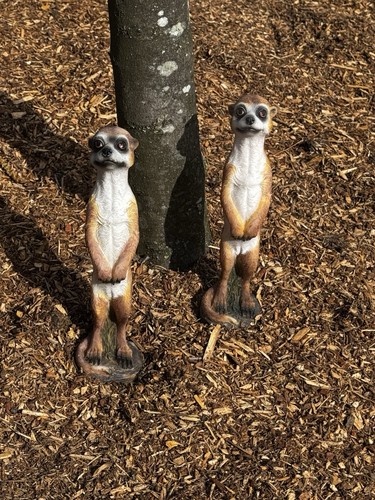 2er set erdmännchen - erdmännchen, figur