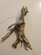 Stick that looks like Groot