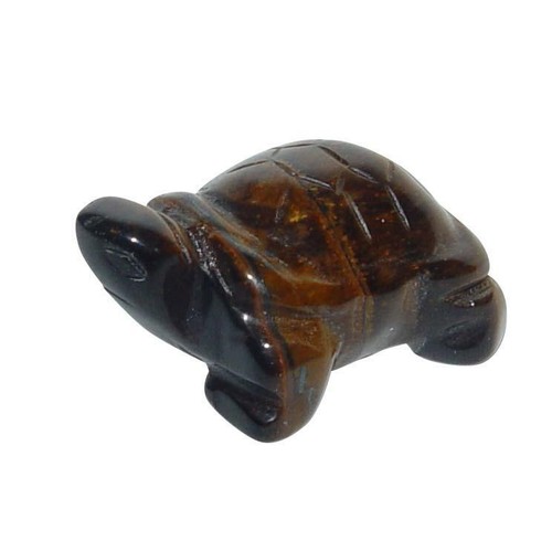 Tigerauge schildkröte 28 - tigerauge,