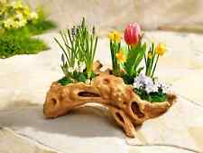 Pflanzschale "Baumwurzel" Wetterfest Garten Dekoration Blumenschale Blumentopf