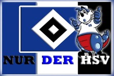 HSV-Fahnen-Set 3. Je 60cm x