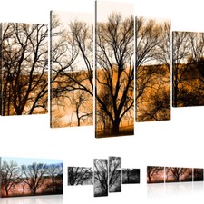 Bilder Bäume Herbst