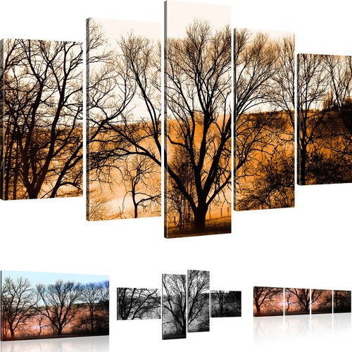 Bilder bäume herbst - bilder,