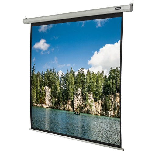 Celexon leinwand motor economy - celexon,