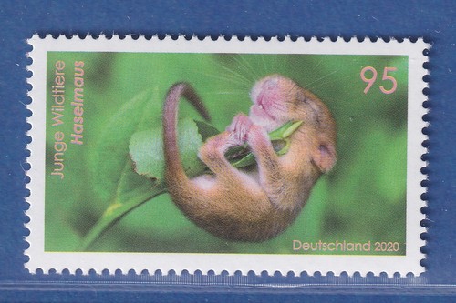 Bundesrepublik 2020 tierbabys - bundesrepublik,