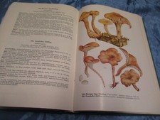 Handbuch  Pilze , Bilder -