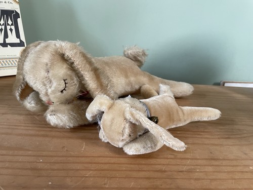 Hase steiff floppy hansi - 2,
