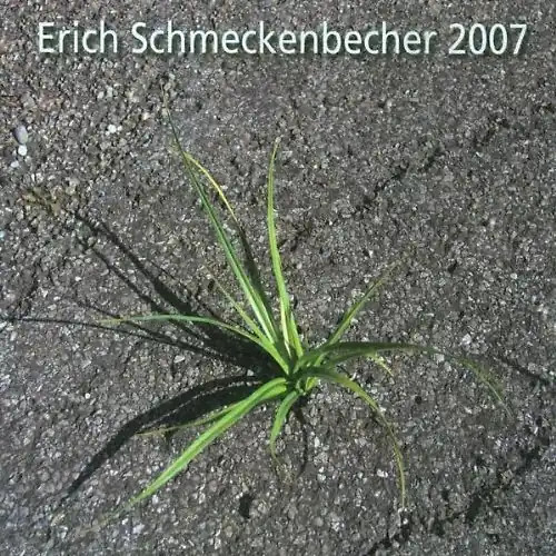 Erich schmeckenbecher - erich,