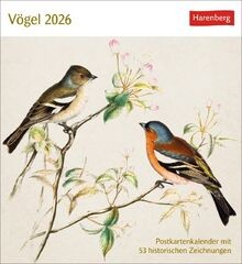 Vögel postkartenkalender 2026 - vögel,