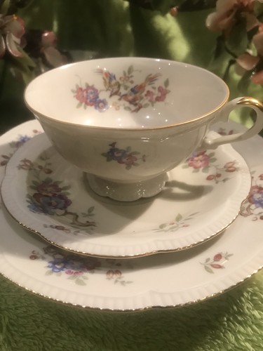 Sammeltasse t - sammeltasse, c.t