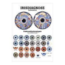 Irisdiagnose Mini-Poster Anatomie 34x24 cm medizinische Lehrmittel