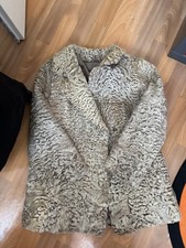 Eleganter Swakara Persianer