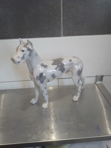 Große dänische dogge bing - große,