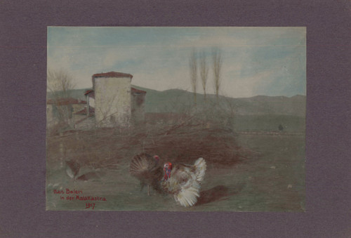 Wwi shqipëria - wwi,,