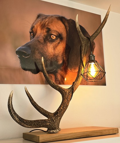 Geweihlampe aus ungarischem - aus,