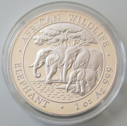 Somalia 100 shillings 2013 - 100,