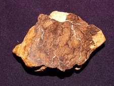 Stein-Meteorit Al Haggounia