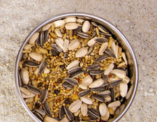 deuka Großsittich 10 kg Großsittichfutter Vogelfutter Agaporniden Nymphensittich