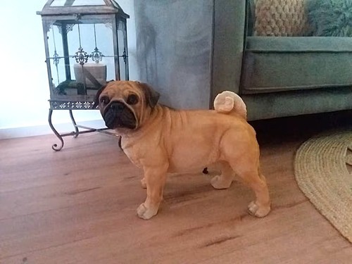 Xxl mops pug - mops, figur,