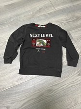 H&M Dino Pullover 110