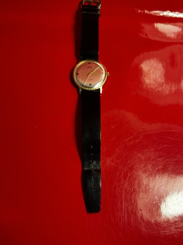 Arctos rubis vintage - ,