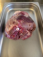 Wildschwein,Frischling