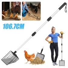 Hühnerkot Schaufel