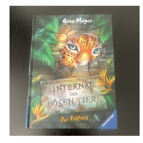 Ravensburger internat der - internat,